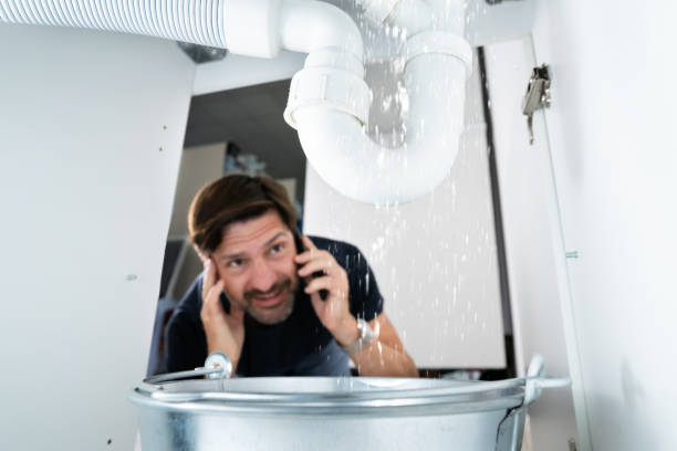 Best Affordable Plumber Near Me  in Lake Mills, IA